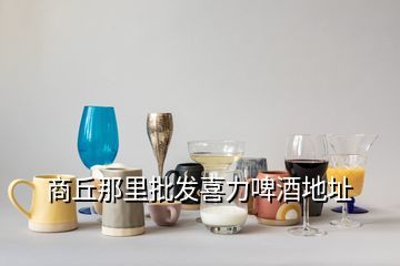 喜力啤酒河南经销商,青岛喜力啤酒怎么样